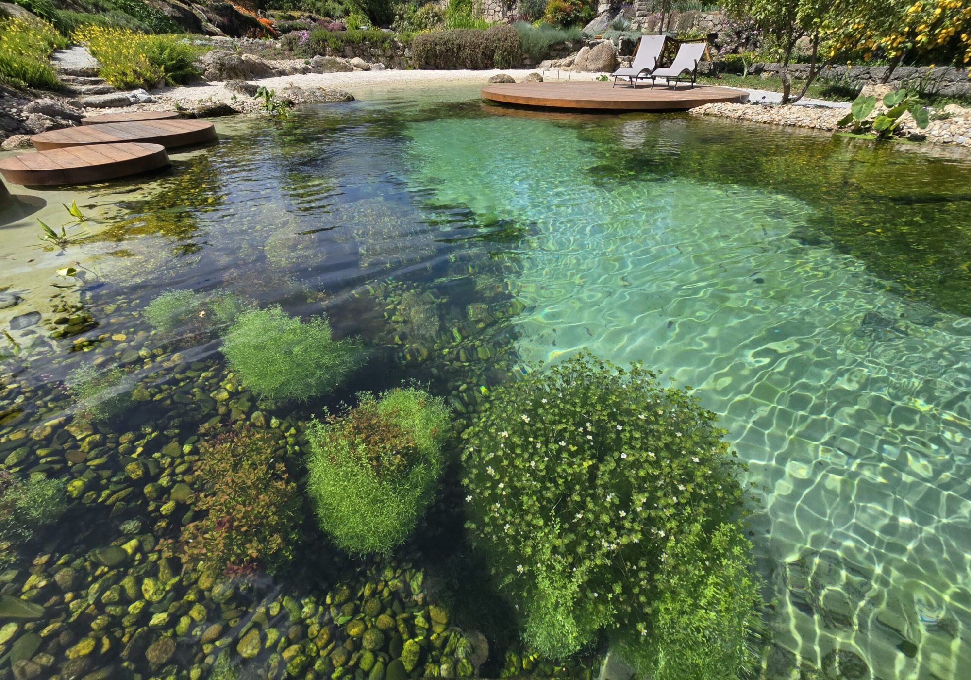 Piscina natural, abril de 2026