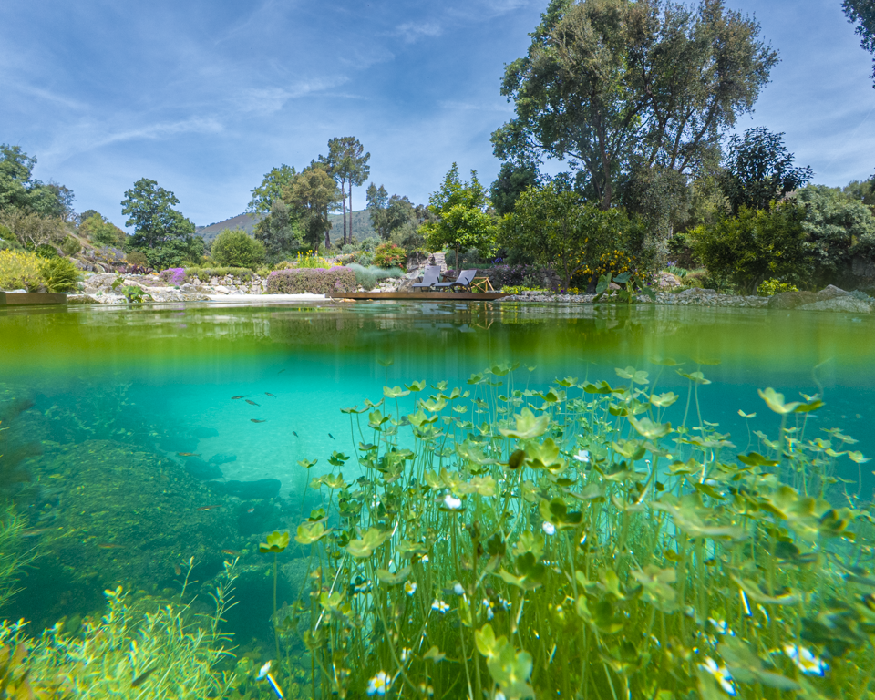 Lagos e piscinas naturais
