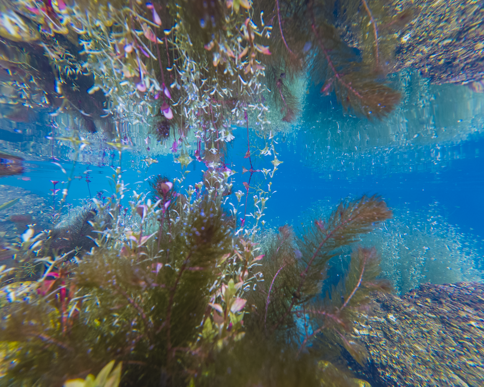 Lagos e piscinas naturais