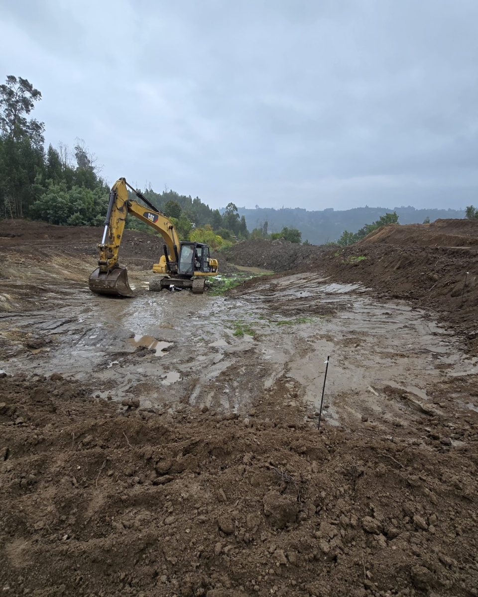 Processo de construção